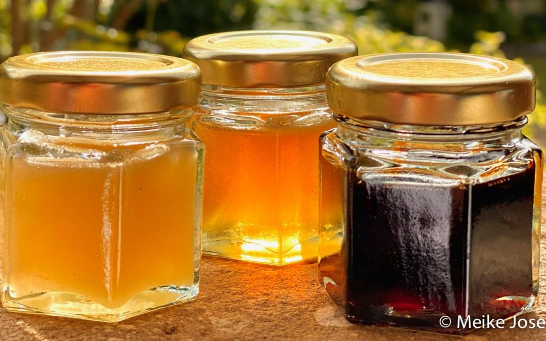 different colors of honey
