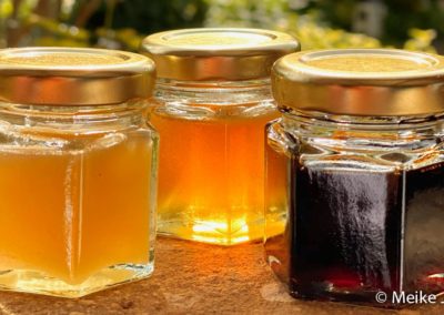 different colors of honey